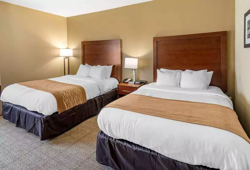 בית מלון כפרי Comfort Inn & Suites