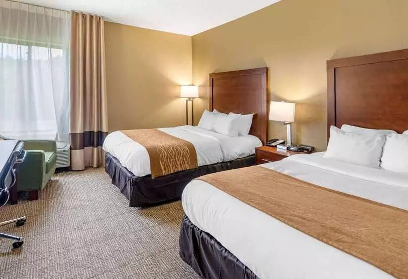 בית מלון כפרי Comfort Inn & Suites