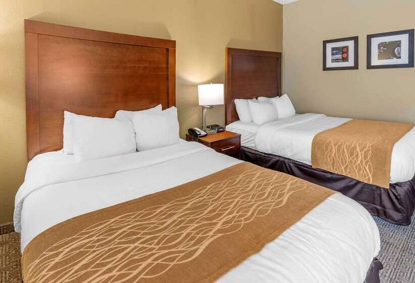 酒店 Comfort Inn & Suites