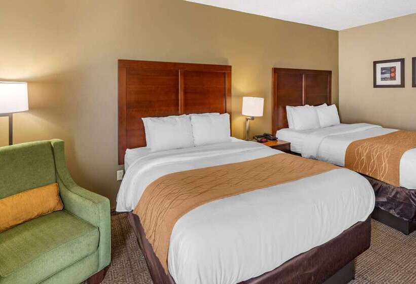 酒店 Comfort Inn & Suites
