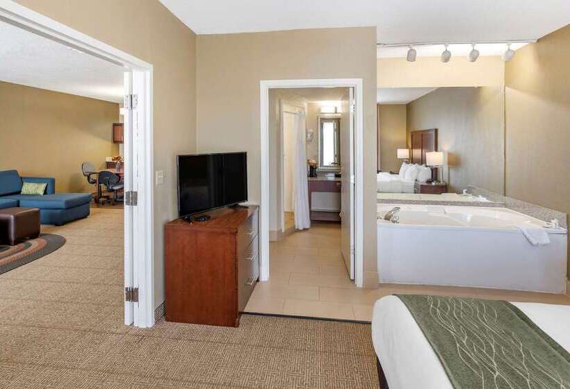 酒店 Comfort Inn & Suites