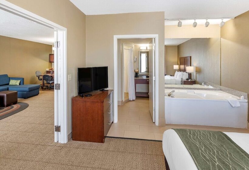 酒店 Comfort Inn & Suites