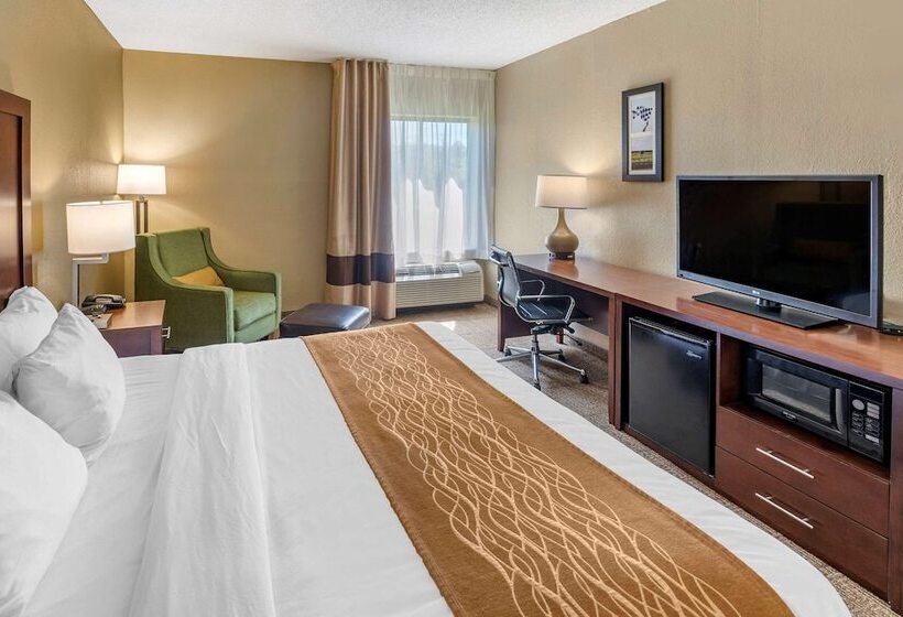 酒店 Comfort Inn & Suites