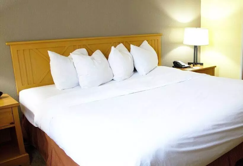 ホテル Country Inn & Suites By Radisson, Bloomingtonnormal West, Il