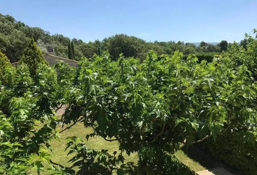 בית מלון כפרי Mas De La Senancole