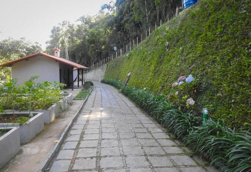 Отель Boutique Pé Da Tartaruga