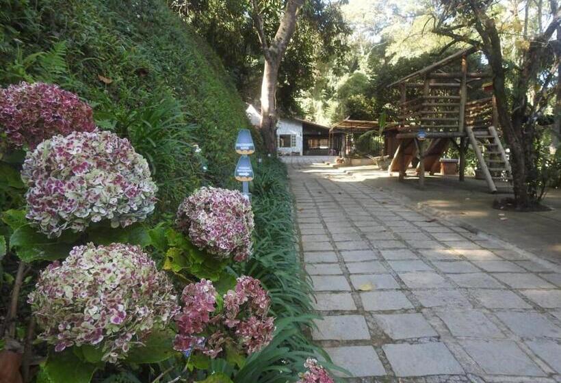 Отель Boutique Pé Da Tartaruga