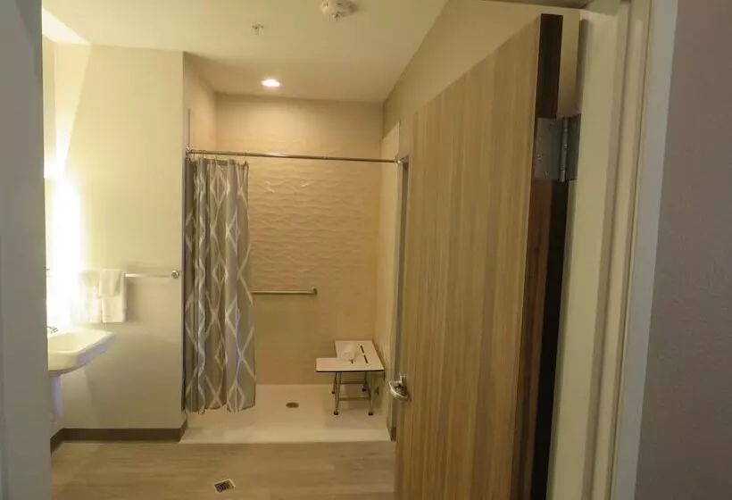 هتل Wyndham Garden College Station