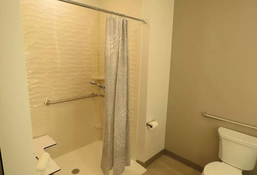 هتل Wyndham Garden College Station