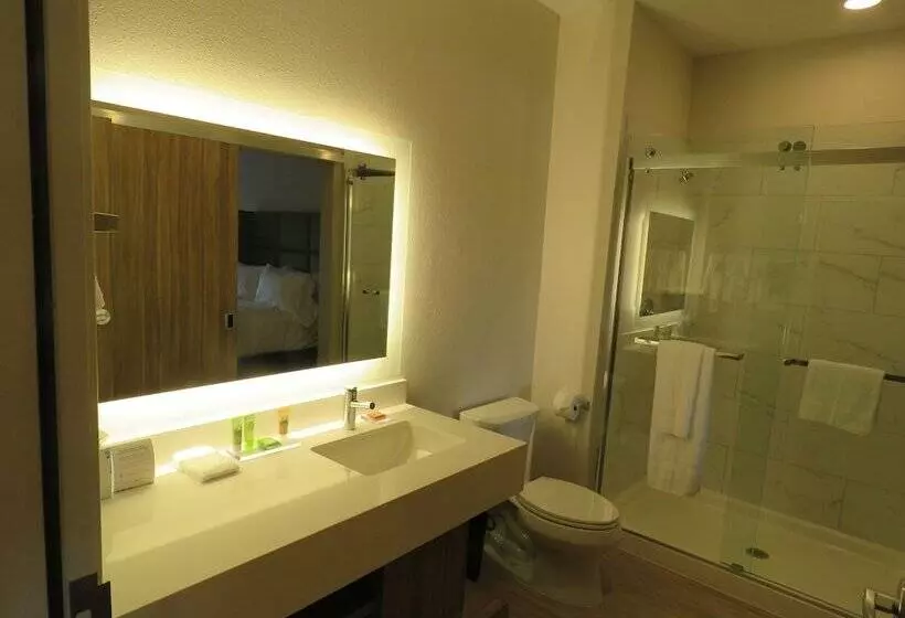 هتل Wyndham Garden College Station