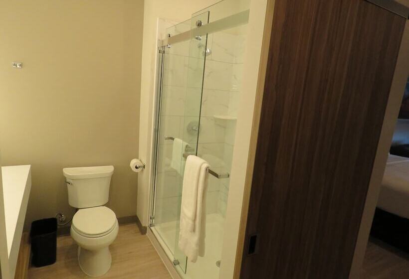 هتل Wyndham Garden College Station