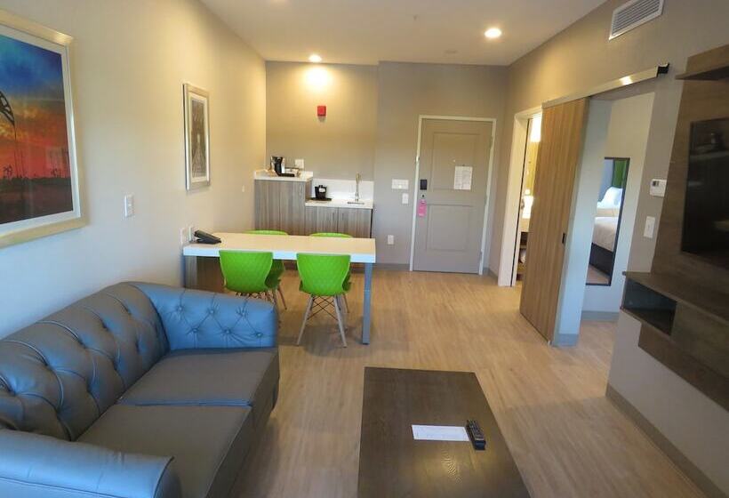 هتل Wyndham Garden College Station