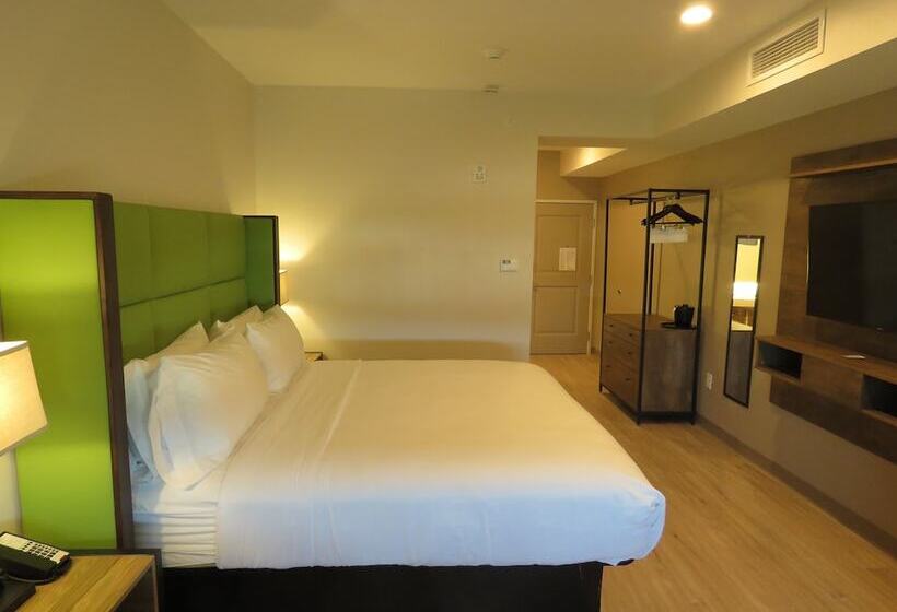 هتل Wyndham Garden College Station