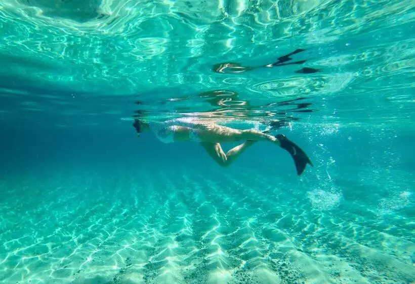 ホテル Catalina S Hideaway
