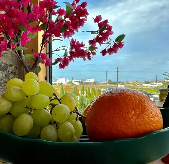 ベッドアンドブレックファースト Aegean Hospitality