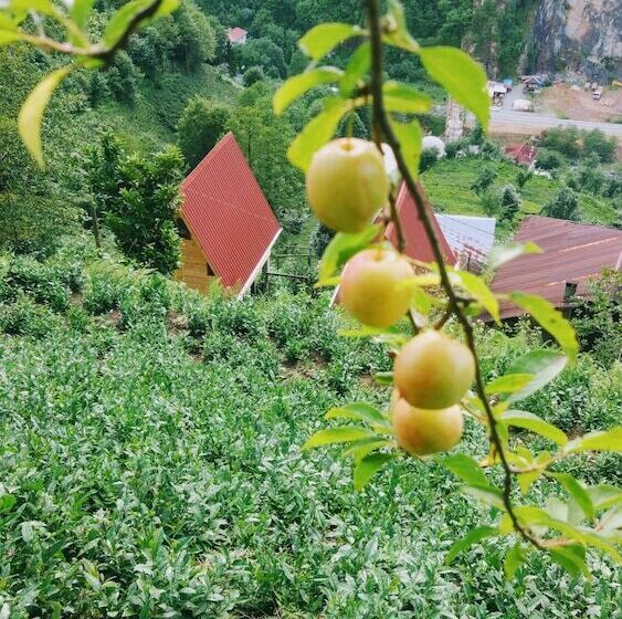 בית מלון כפרי Begi Apart Bungalov