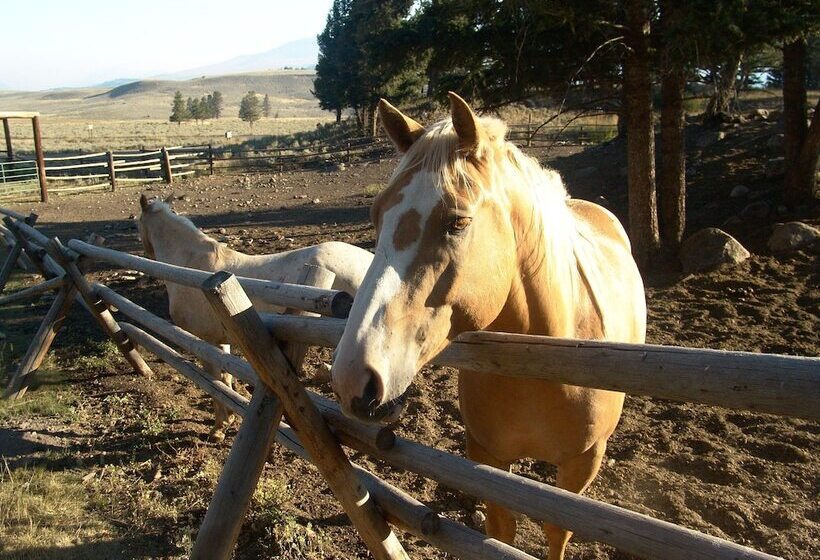 בית מלון כפרי Roosevelt Lodge & Cabins   Inside The Park