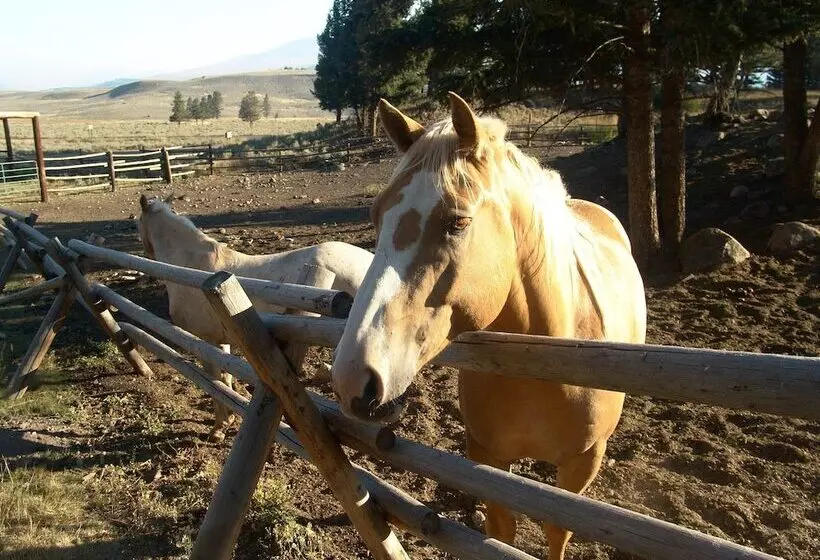 Hotelli Roosevelt Lodge & Cabins   Inside The Park