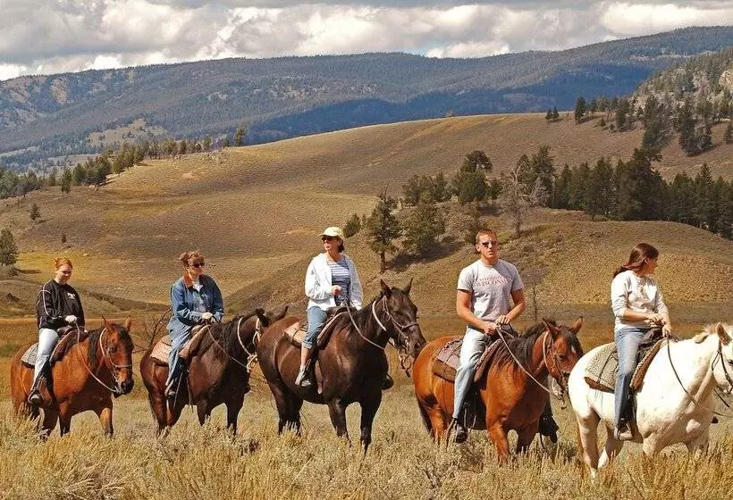 Hotelli Roosevelt Lodge & Cabins   Inside The Park