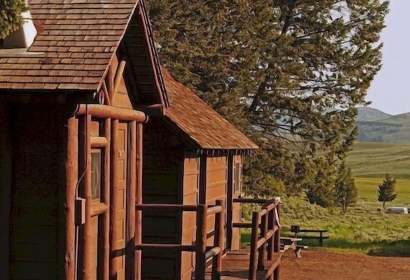 בית מלון כפרי Roosevelt Lodge & Cabins   Inside The Park
