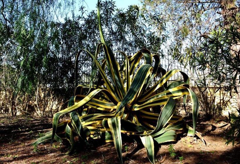 צימר Agriturismo Caranna