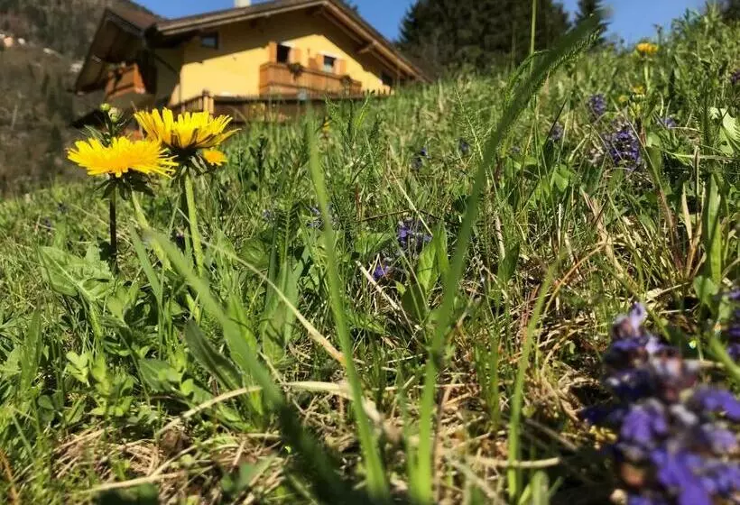 Aamiaismajoitus (B&B) Ecobaita Natura Spensierata