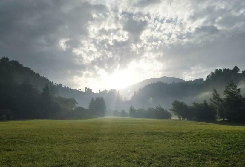 住宿加早餐 Ecobaita Natura Spensierata