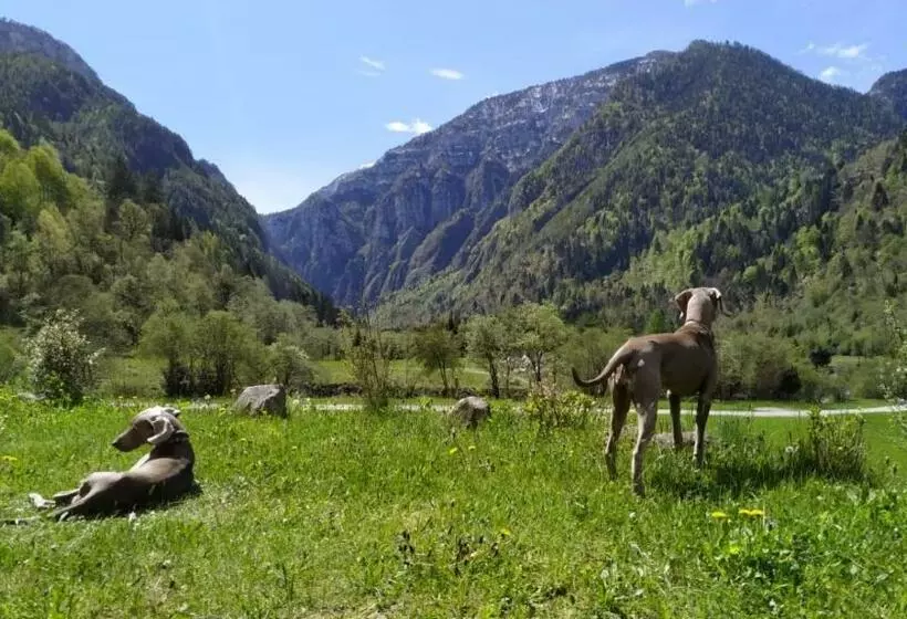 Aamiaismajoitus (B&B) Ecobaita Natura Spensierata