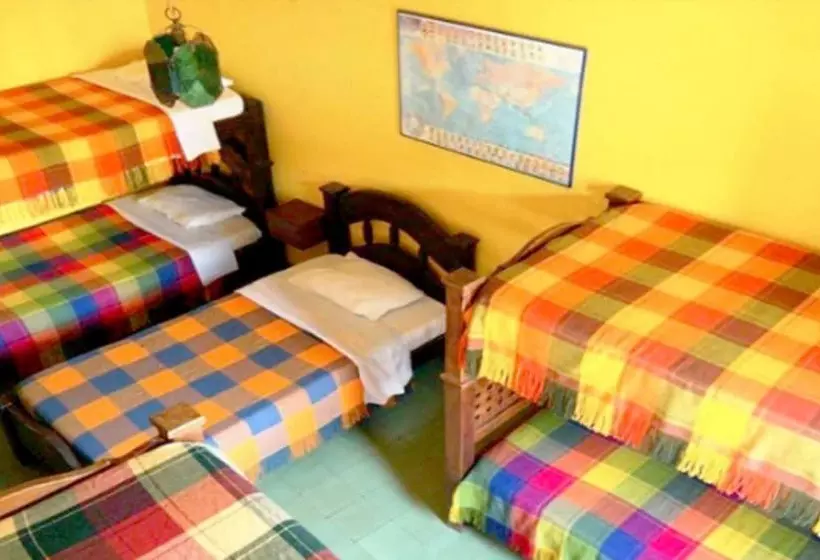 ユースホステル Urban Hostal San Gil  Piscina Restaurante Bar