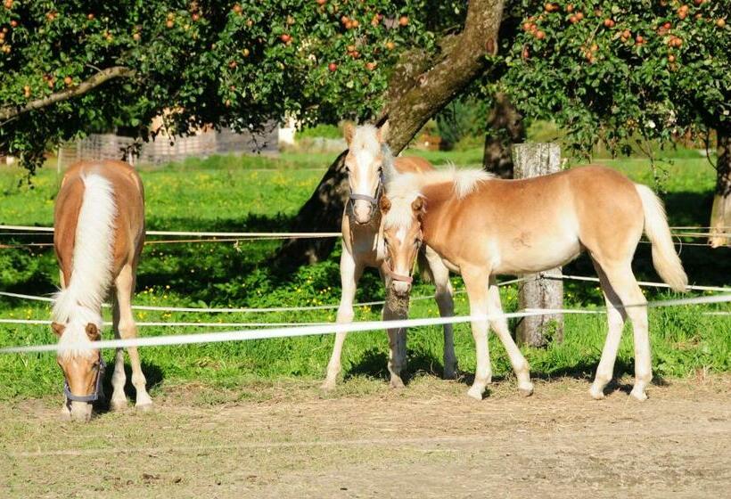 בית מלון כפרי Breitenhof Haus Breiten