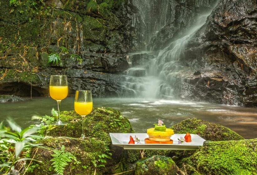 هتل Hacienda Buenavista