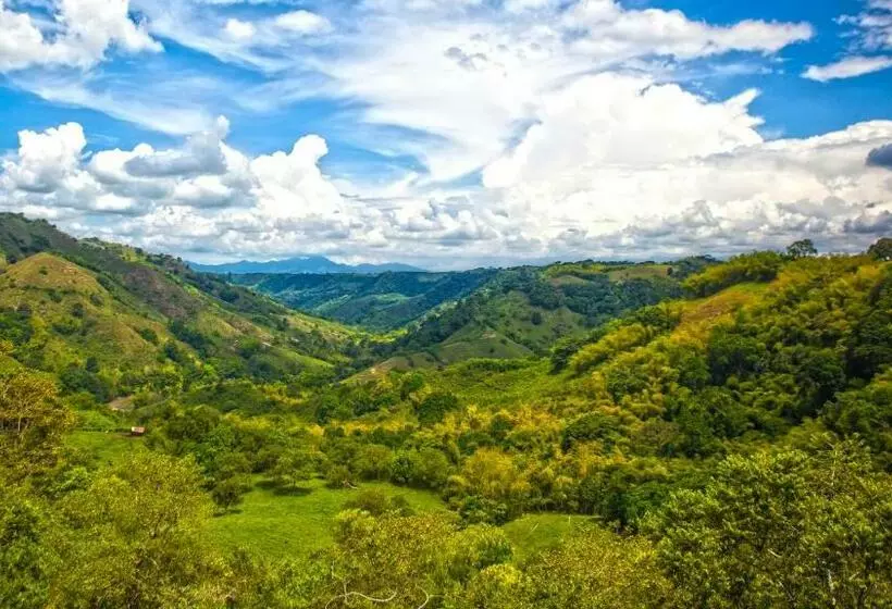 ホテル Hacienda Buenavista