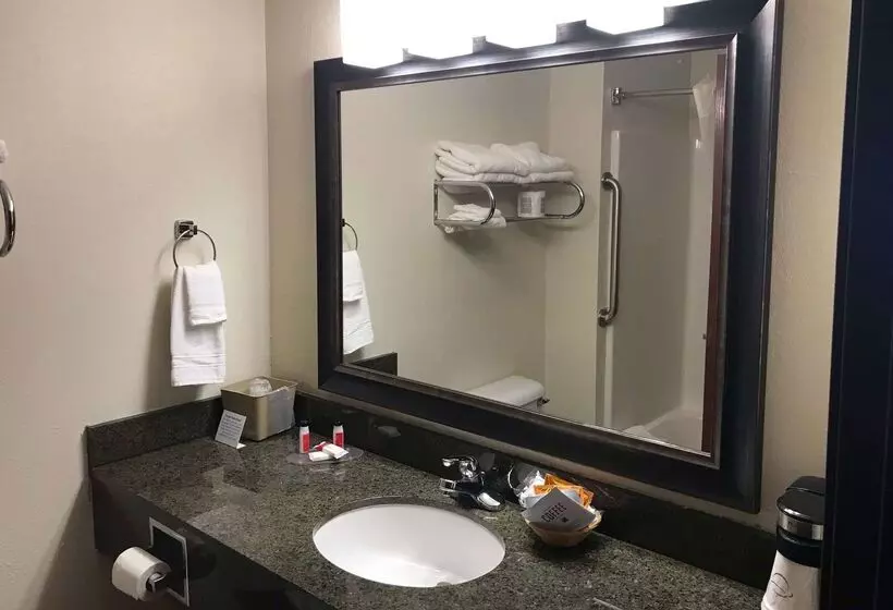 ホテル Americinn By Wyndham Maquoketa