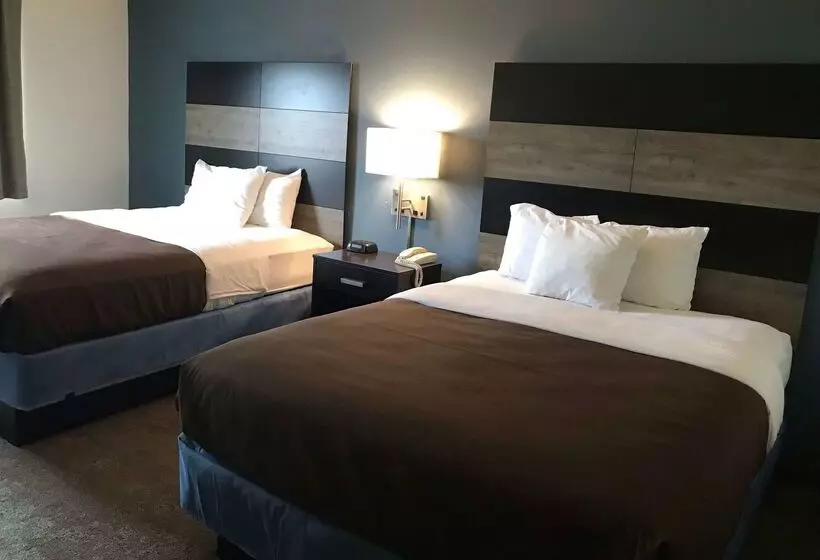 ホテル Americinn By Wyndham Maquoketa