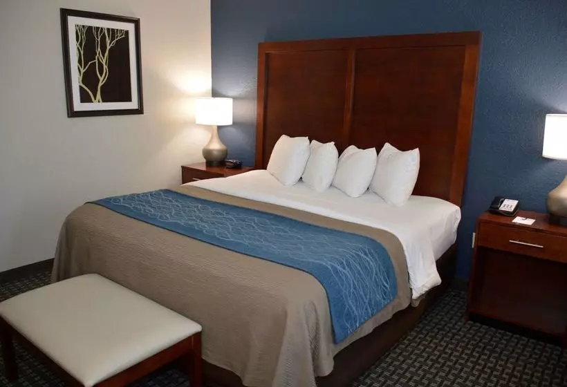 ホテル Best Western Northwest Corpus Christi Inn & Suites