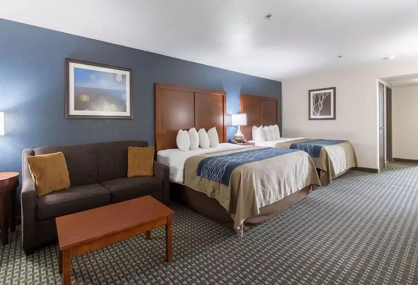ホテル Best Western Northwest Corpus Christi Inn & Suites