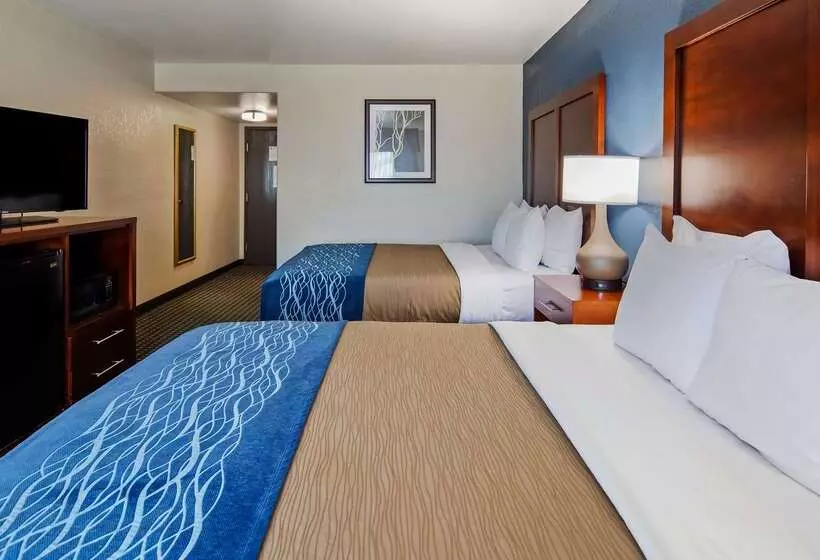 ホテル Best Western Northwest Corpus Christi Inn & Suites