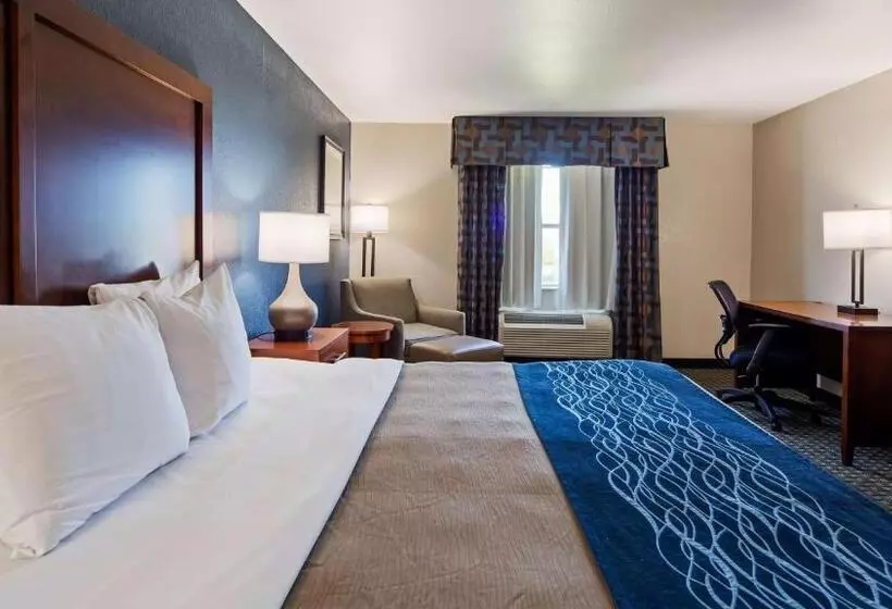 ホテル Best Western Northwest Corpus Christi Inn & Suites