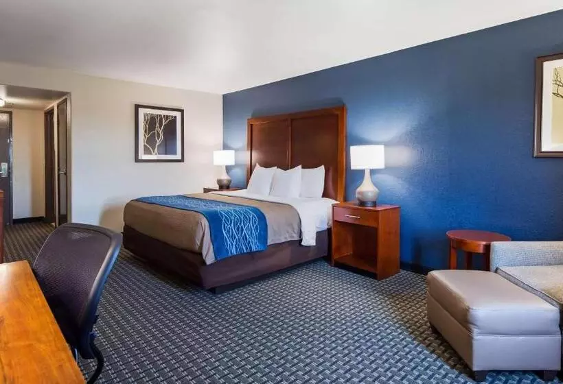 ホテル Best Western Northwest Corpus Christi Inn & Suites