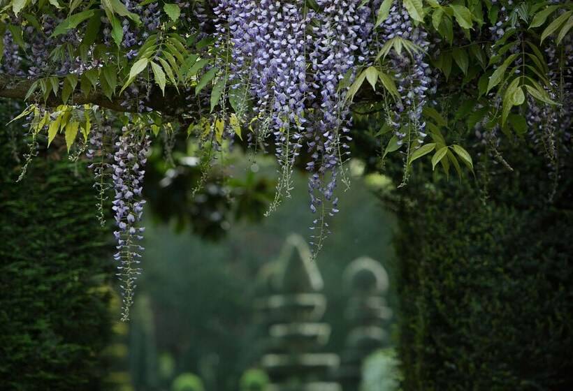 בית מלון כפרי Château De La Ballue Teritoria