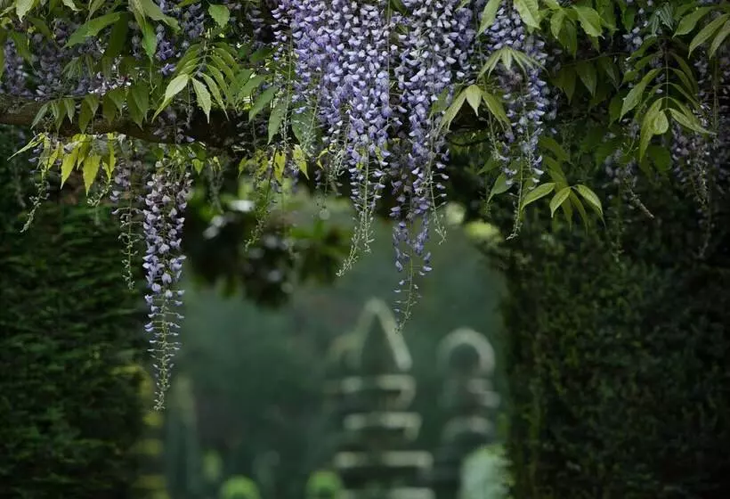 호텔 Château De La Ballue   Teritoria