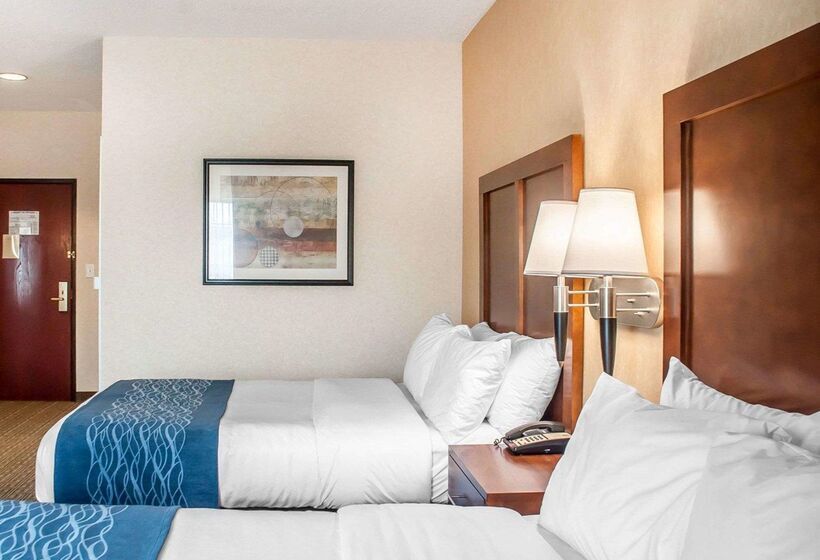 فندق Comfort Inn & Suites