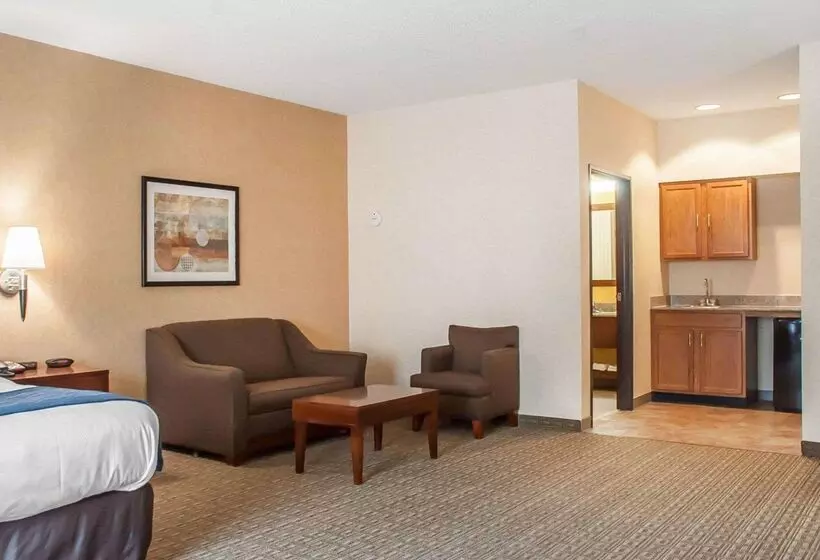 Отель Comfort Inn & Suites