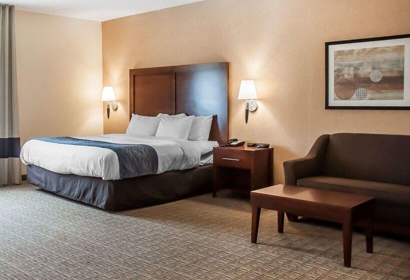 فندق Comfort Inn & Suites