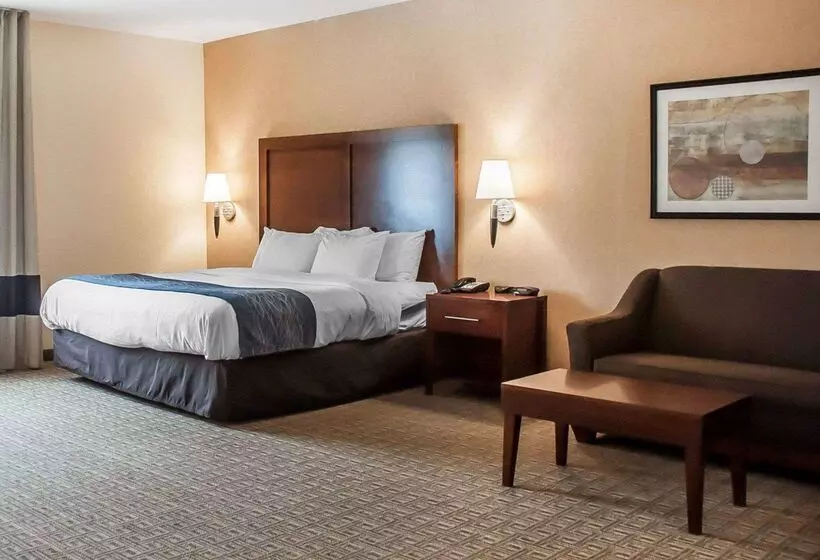 Отель Comfort Inn & Suites