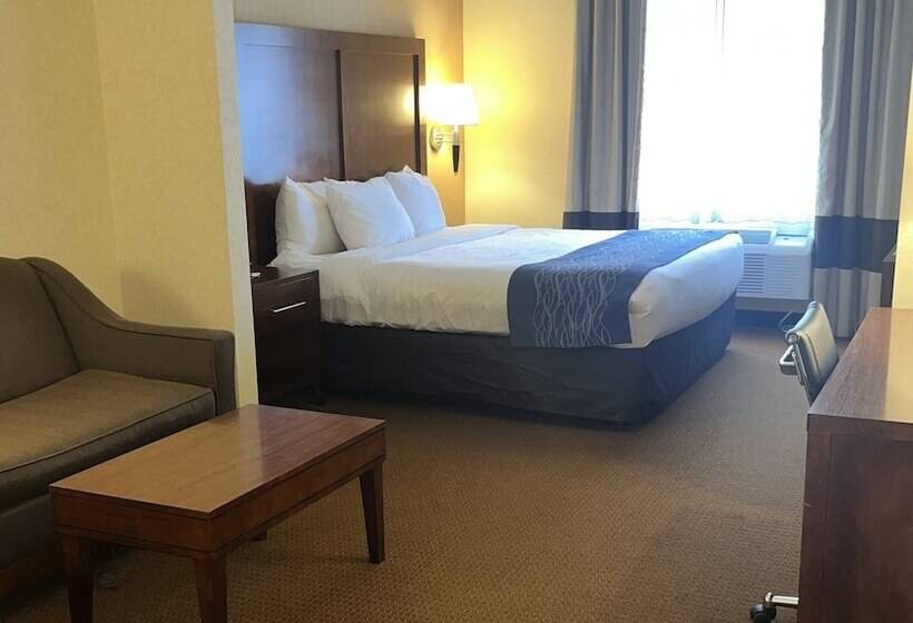 فندق Comfort Inn & Suites