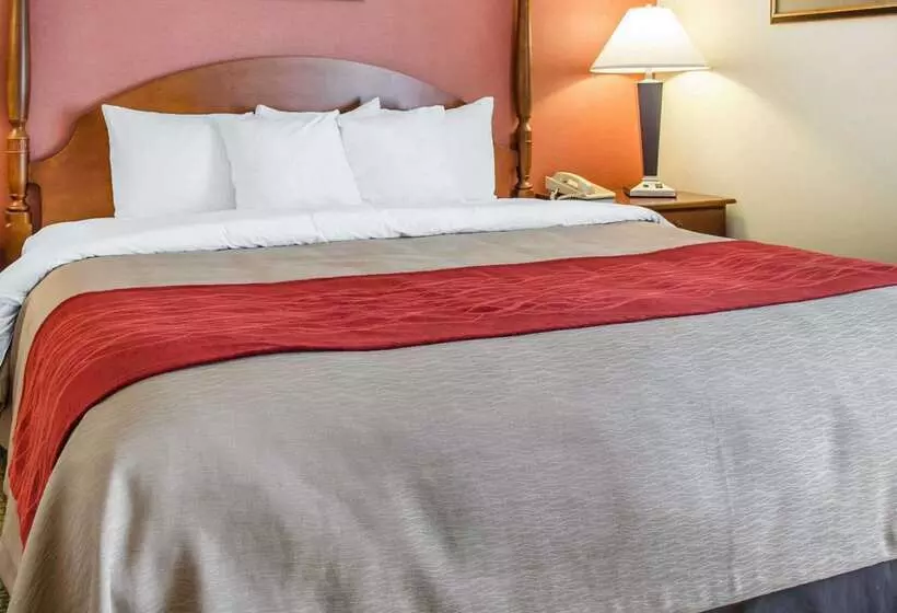 Отель Comfort Inn & Suites