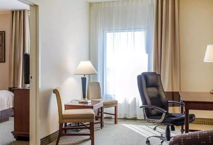 Отель Comfort Inn & Suites