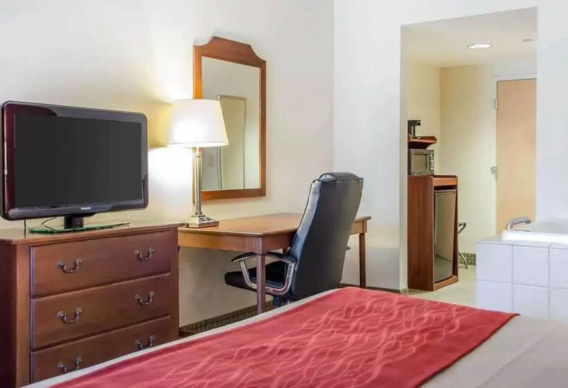 Отель Comfort Inn & Suites