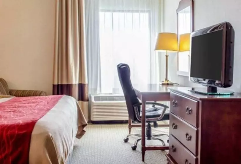 Отель Comfort Inn & Suites